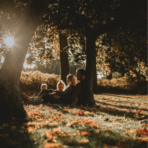 Namnlös design - 2026-03-19T094753.302